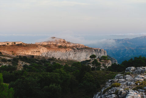 _DSC5822.jpg