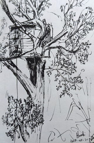 2019-07-20_hambi_drawing.jpg