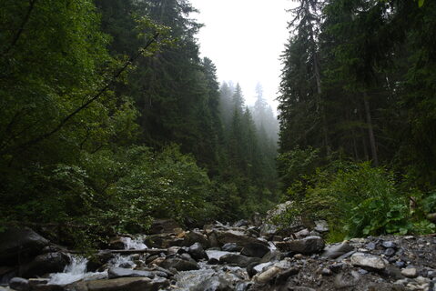 _DSC4633.jpg