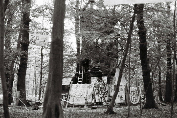 un barrio dans la forêt.