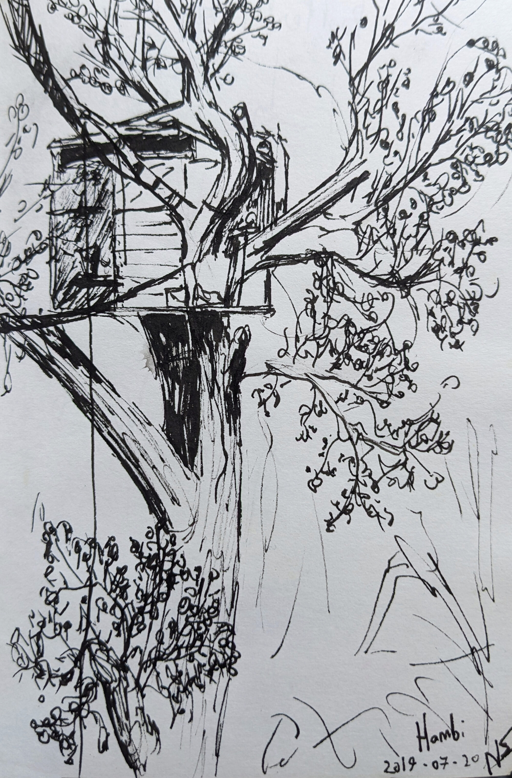 2019-07-20_hambi_drawing.jpg
