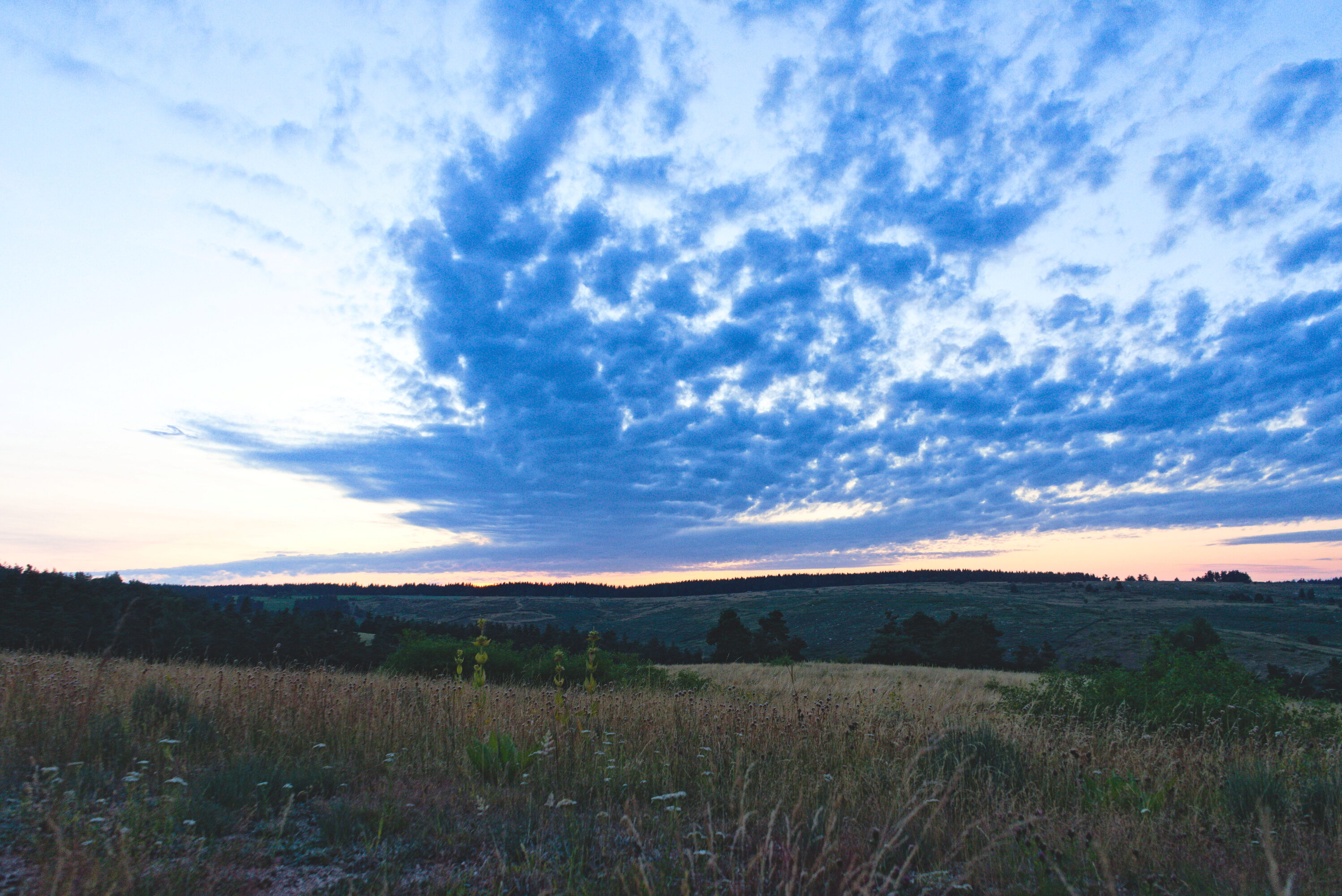 _DSC8028.jpg