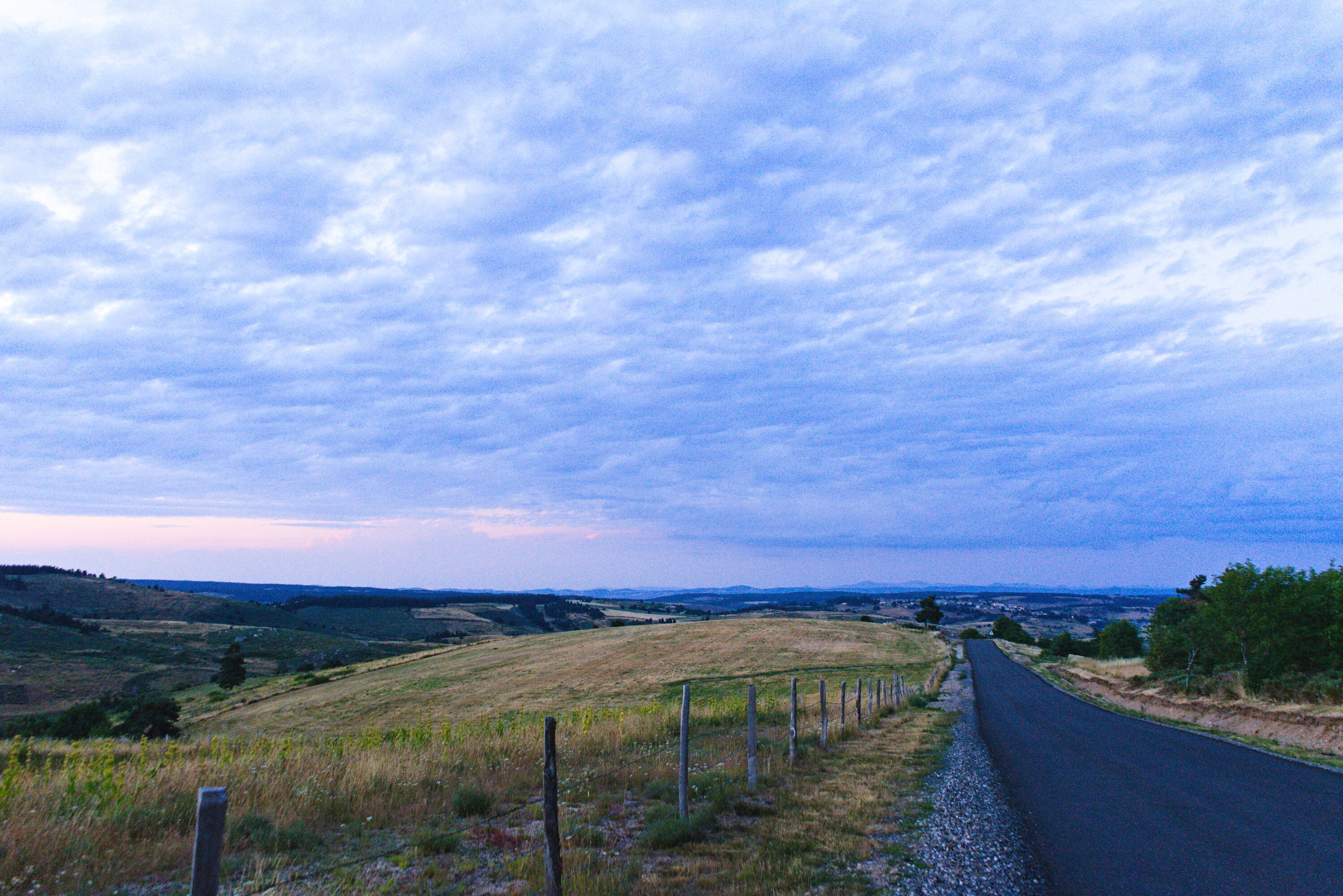 _DSC8039.jpg