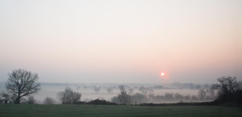 foggy_morning_by_nemecle_d7odrfo-fullview.jpg